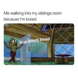 Meet your Posher, Harleyquinn12904